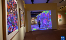 “大地绘彩——2025年农民画大展”在国博开幕