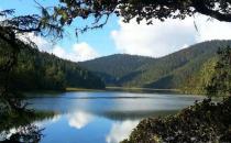 【八雅论道、香飘万里】