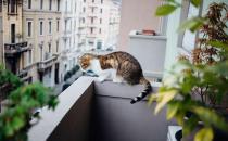 阳台装修体现的是你对生活的态度，懂享受的人都这样装！