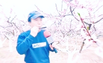 曹林洲：在时光里雕琢光阴的人——宝哥的艺术江湖