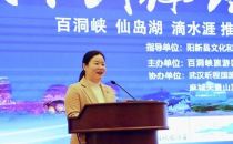 阳新县百洞峡、仙岛湖、滴水涯等景区在武汉联合推介盛典