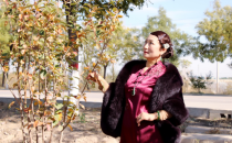 画家王丽荣向日葵注册《中国专利》艺术家名人商标