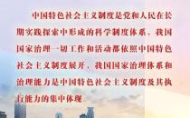 海报！四中全会公报中的重要论述