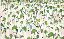 吴冠中：烧画很平常 作品表达不好就要毁