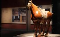 重走唐蕃古道 七省区文物联展，见证文成公主传说