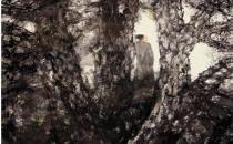 松风明月——佛光书画社林生国画作品展