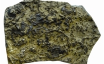 亿万年熔炼出的“燕子石”