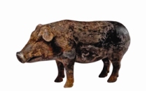 从出土陶猪管窥猪在汉代先民心目中的位置