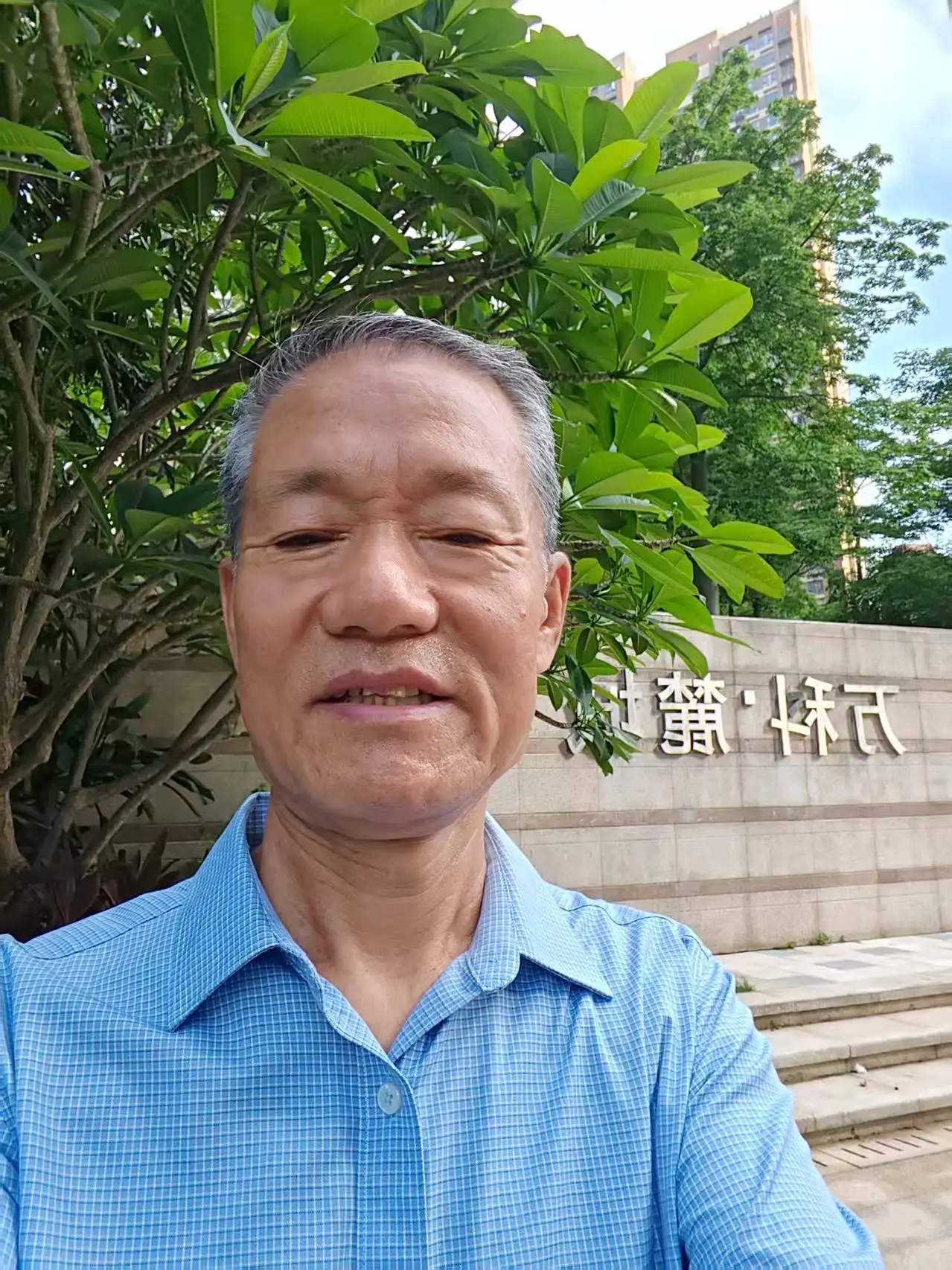 王淑锋-书法以行、楷奠基，草书见长