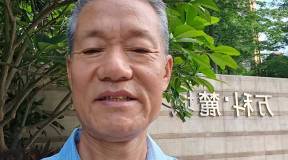 王淑锋-书法以行、楷奠基，草书见长