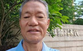 王淑锋-书法以行、楷奠基，草书见长