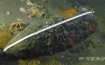 海昏侯墓入选十大考古新发现 三星堆遗址再次落选