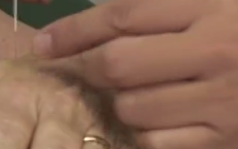 倪海厦人纪之42《针灸大成》84+85+86视频