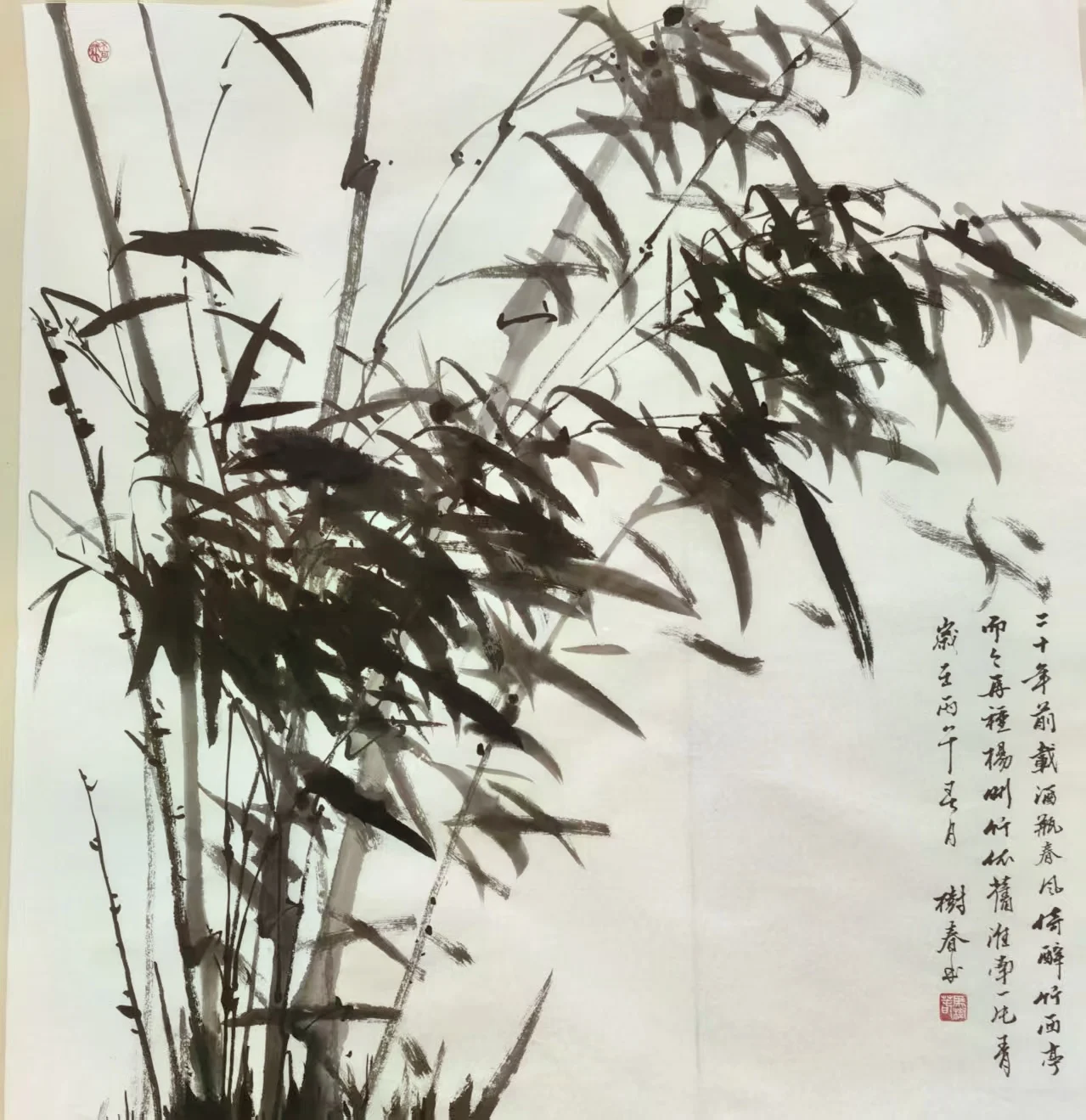 马树春-中国硬笔书法协会会员，河北省廊坊市书法家协会会员