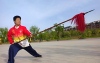 王伟-书法武术